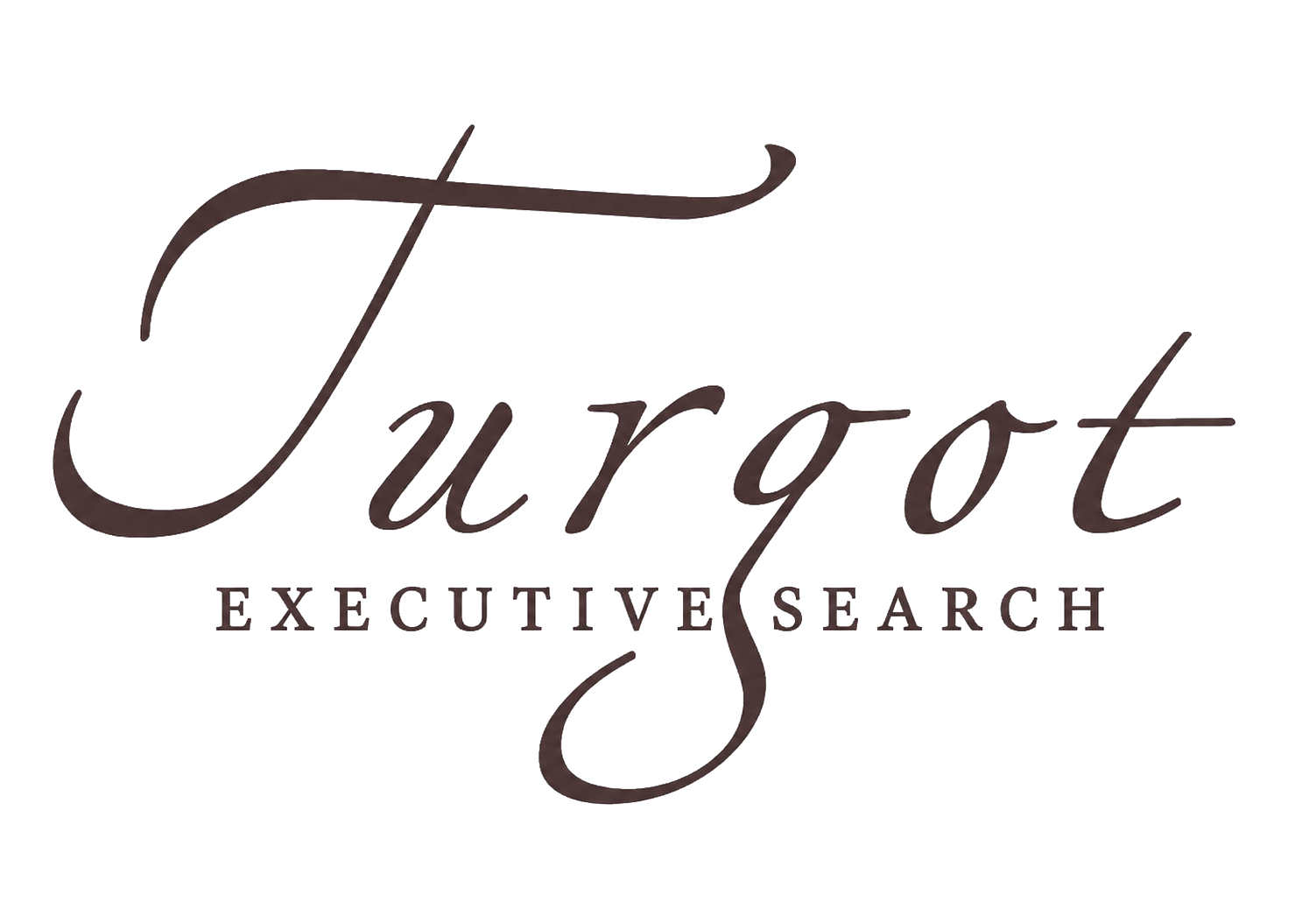Turgot Executive Search